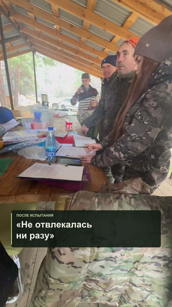 За что её похвалили эксперты — западно-сибирская лайка Умка